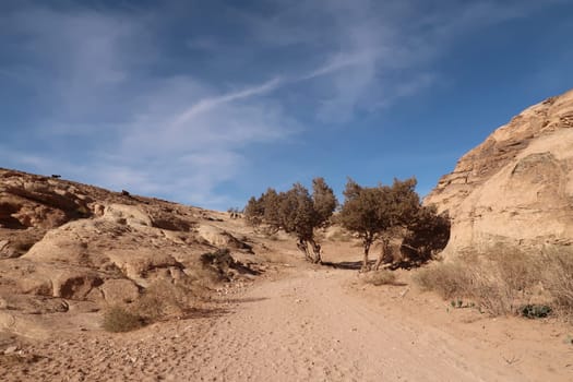 A little bit of shade on the hiking trial from Little Petra to the Monastery, Petra, Jordan 2021
