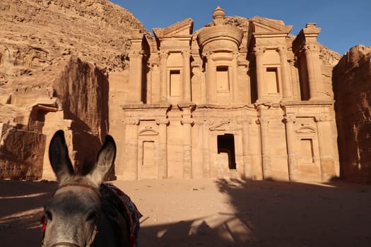 Donkey in front of the Monastery, Ad Deir, Ad-Dayr, el-Deir, Petra, Jordan 2021