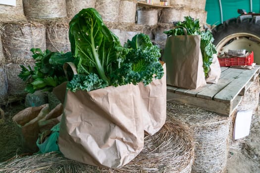 Baskets of vegetables products ready to be sale in a farm
