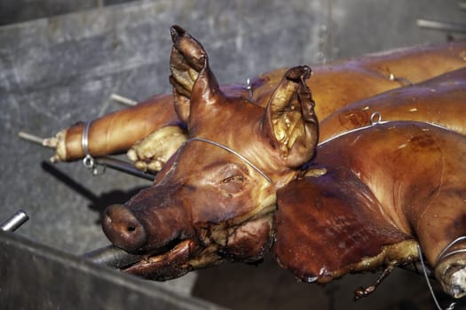 Detail of roast pork in a traditional festival, fatty and unhealthy food