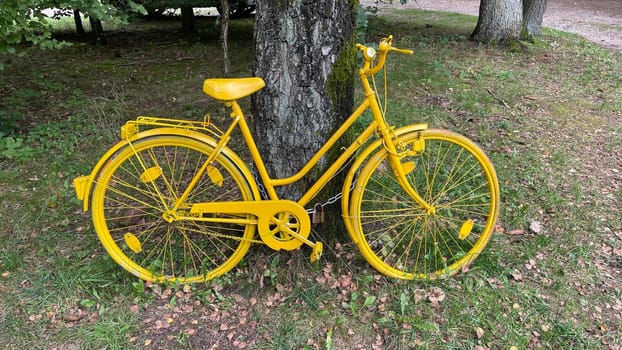 Colorful bicycles,also called ghost wheels,often stand on the roadside as a memorial wheel or as a work of art somewhere in nature. Colorful bicycles,also known as ghost bikes,are often found on the side of the road as a reminder wheel or as a work of art somewhere in nature.