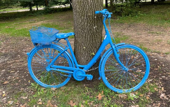 Colorful bicycles,also called ghost wheels,often stand on the roadside as a memorial wheel or as a work of art somewhere in nature. Colorful bicycles,also known as ghost bikes,are often found on the side of the road as a reminder wheel or as a work of art somewhere in nature.