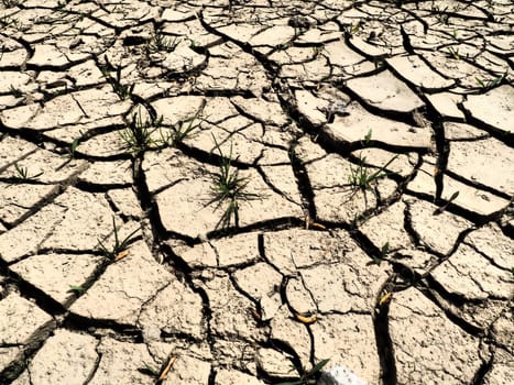 Deep cracks in the land as a symbol of hot climate and drought. Desert and cracked ground. Uneven, swollen ground. Emptiness and death. Ecological and natural theme