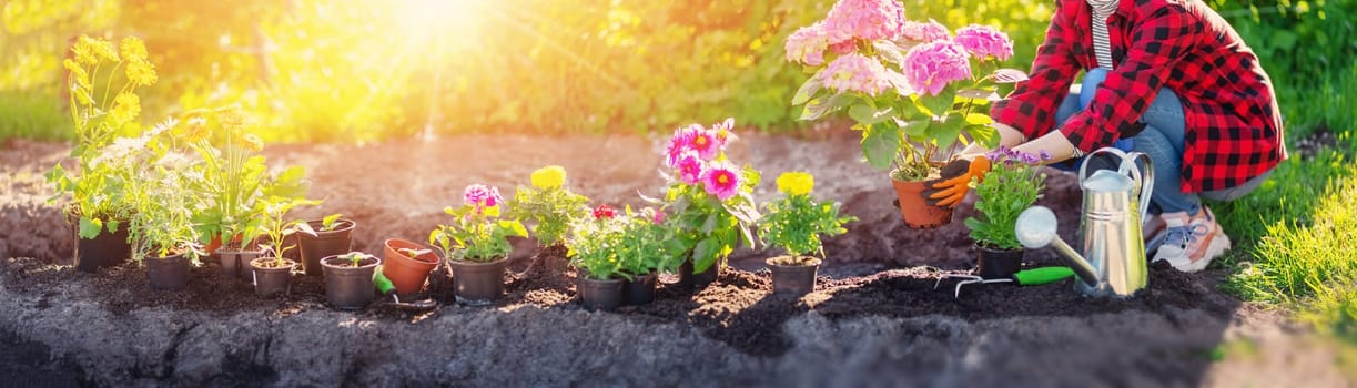 Gardner holding in her hands sprout of flower. Concept of gardening and farming.
