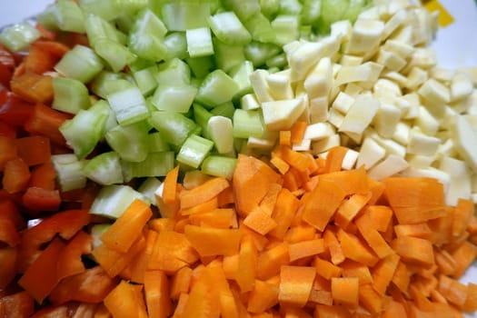 bunter Rohkostsalat mit Möhren,Pastinaken,Paprika und Staudensellerie