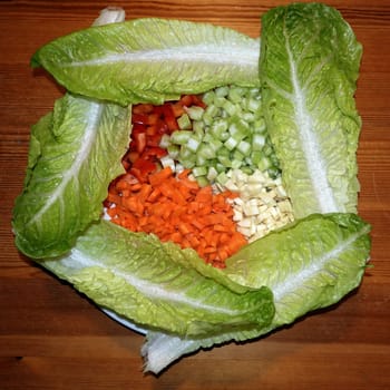 bunter Rohkostsalat mit Möhren,Pastinaken,Paprika und Staudensellerie