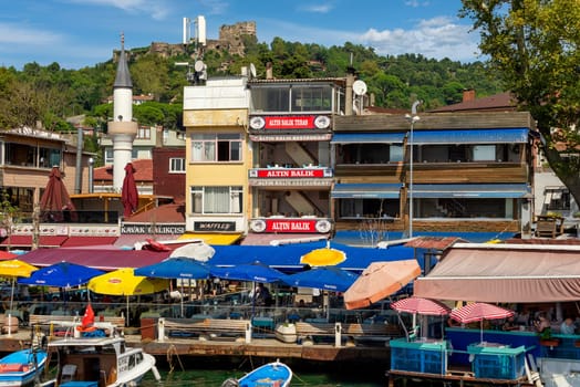 Istanbul, Turkey - August 29, 2022: Green mountains of the Europian side at Anadolu Kavagi district, with docked boats, traditional houses and dense trees in a summer day