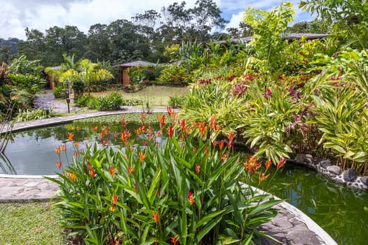 Garden with various tropical plants and flower growing in a pattern
