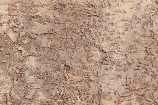 Take a real tree bark with a great structural effect
