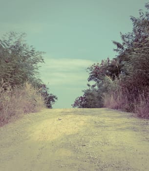 Gravel road between trees in the countryside. Vintage style color.