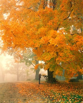Morning Mail, Cambridge Vermont.