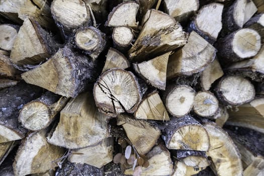 Detail of trees cut to burn and give heat at home, heating