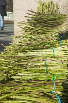 Bundles of wild asparagus for sell on the street. Selective focus