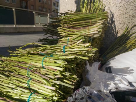 Bundles of wild asparagus for sell on the street. Selective focus