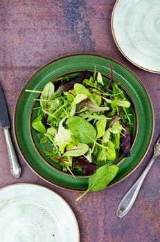 Mix of fresh salad leaves on the plate. Green food.