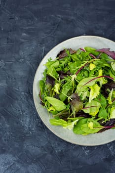 Mix of fresh salad leaves on the plate. Green food.
