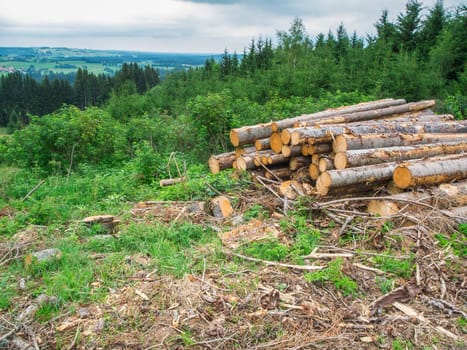Wide angle view of a hilly small logging with cut tree trunks in Bavaria.