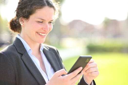 Businesswoman checking smart phone in a park