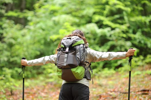 Back view portrait of a backpacker outstretching arms in a forest