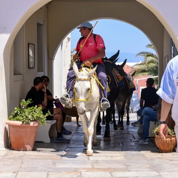 Oia, Santorini, Greece - July 3, 2021: Donkeys on the streets of Oia on the Santorini island. Greece