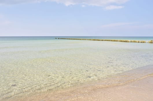 west beach on baltic sea beach. detailed and textured still life. beautiful vacation spot