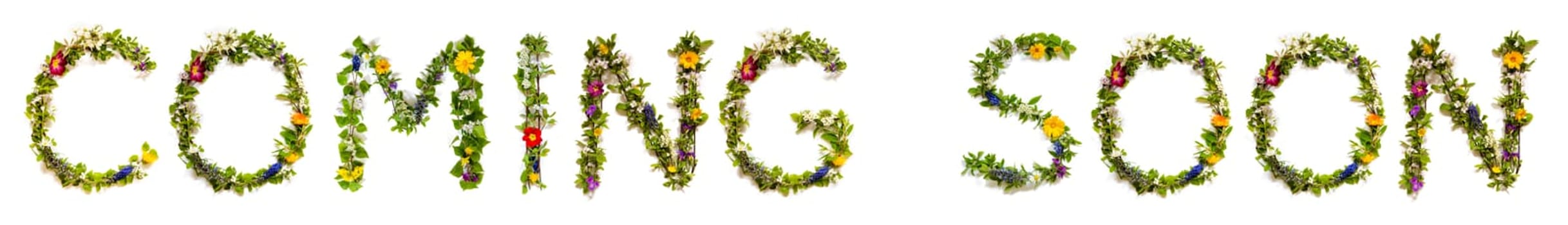 Blooming Flower Letters Building English Word Coming Soon. Summer And Spring Season Blossoms And Flower Lei.