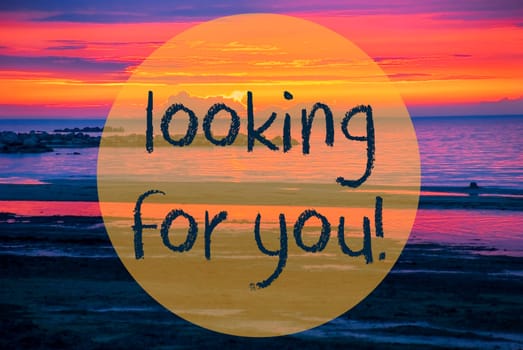 English Text Looking For You. Romantic Sunset Or Sunrise At Sea Or Ocean In Sweden, Scandinavia In The Background
