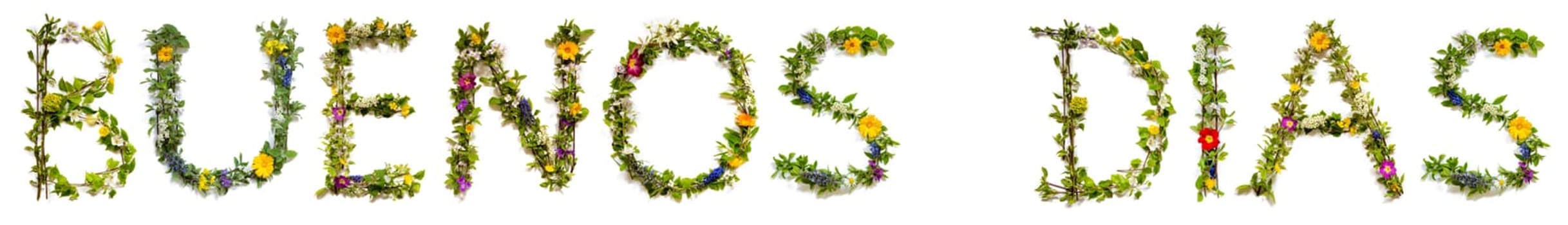 Blooming Flower Letters Building Spanish Word Buenos Dias Means Hello. Summer And Spring Season Blossoms And Flower Lei.