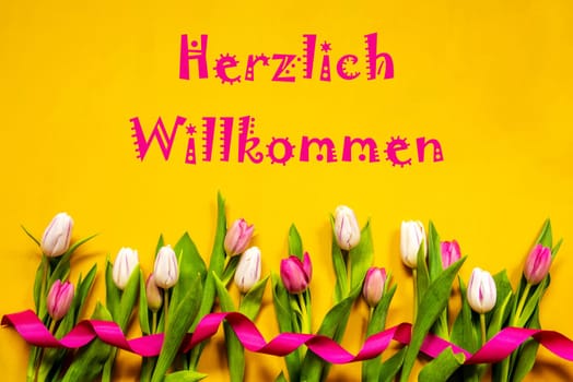 German Text Herzlich Willkommen Means Welcome. White And Pink Tulip Spring Flowers With Ribbon. Yellow Wooden Background