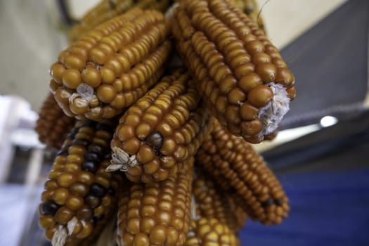 Detail of dry cob in an old market, healthy and vegetarian food