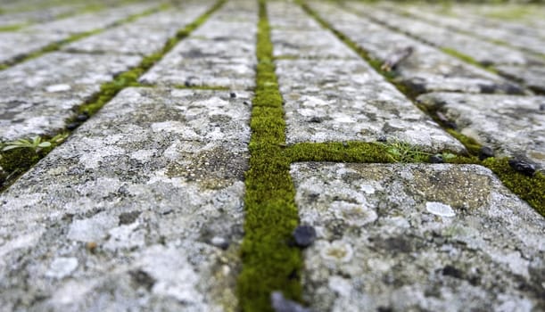 Detail of old access for pedestrians in the city, passage of time