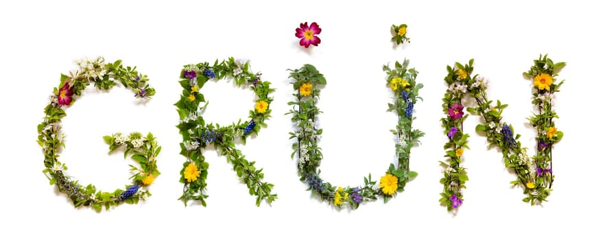 Blooming Flower Letters Building German Word Gruen Means Green. Summer And Spring Season Blossoms And Flower Lei.