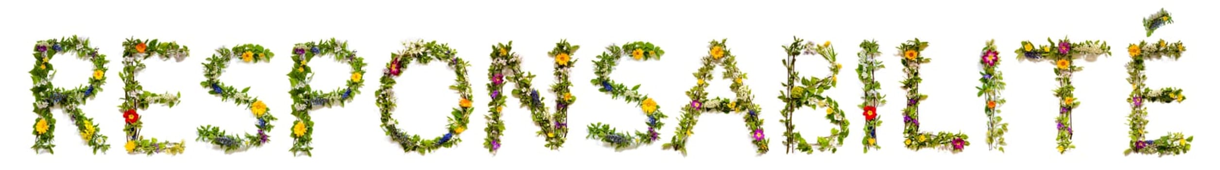 Blooming Flower Letters Building French Word Responsabilite Means Responsibility. Summer And Spring Season Blossoms And Flower Lei.
