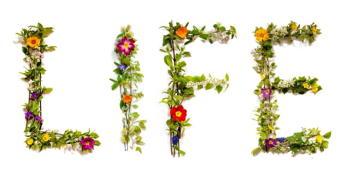 Blooming Flower Letters Building English Word Life. Summer And Spring Season Blossoms And Flower Lei.