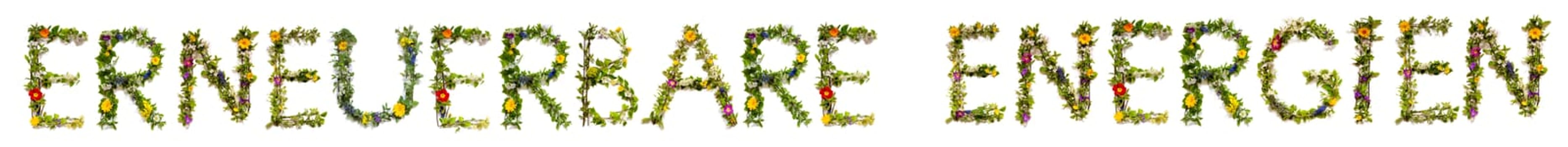 Blooming Flower Letters Building German Text Erneuerbare Energien Means Renewable Energy. Summer And Spring Season Blossoms And Flower Lei.