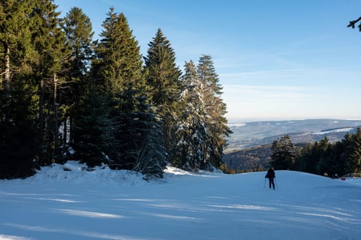 Ski slope on the Wasserkuppe with skiers, with blue sky and trees