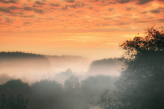 Sunrise over a misty forest. Dawn in fairy forest with dramatic glowing sky. Landscape photo from Saarland