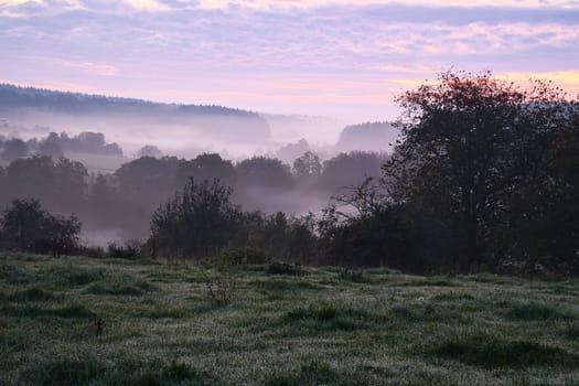 Sunrise over a neighboring forest with meadow in the foreground. Pasture landscape with tree standing alone at dawn. Landscape photo in Saarland
