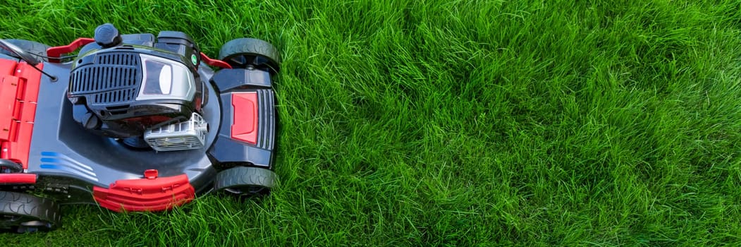 Lawn mower cutting green grass in backyard, mowing lawn