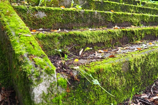 Outdoor staircase covered in moss, mold and other vegetation. Banja Koviljaca, Loznica, Serbia. Ruins of a building