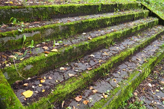 Outdoor staircase covered in moss, mold and other vegetation. Banja Koviljaca, Loznica, Serbia. Ruins of a building
