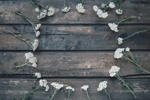 White wildflowers are arranged in a circle on a wooden table background. Yarrow inflorescences. Horizontal boards. Romantic Provence rustic style.