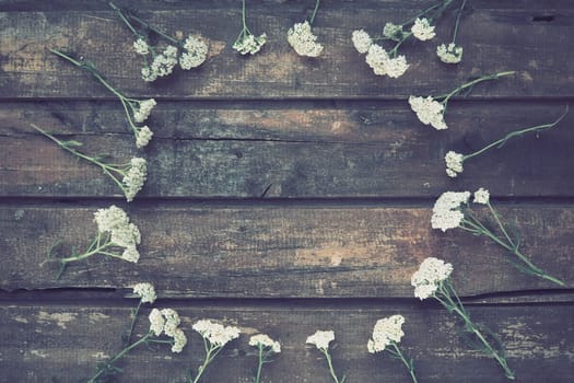 White wildflowers are arranged in a circle on a wooden table background. Yarrow inflorescences. Horizontal boards. Romantic Provence rustic style.