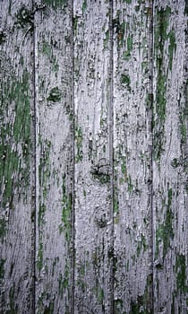 Detail of old painted and peeling wooden wall, ruin and abandonment