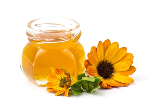 honey and flowers on white background