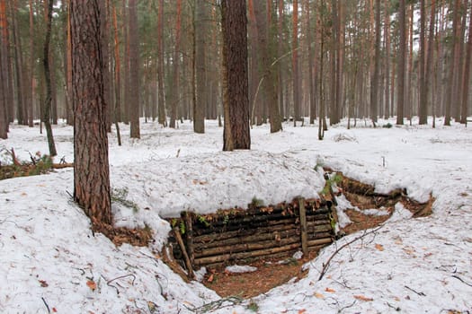 Partisan dugout in winter forest. Earth-house built by Soviet partisans in Ukrainian forest during Secont World War. War museum in forest. Dwelling of Soviet partisans in winter wood