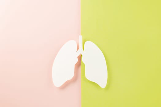 World tuberculosis day. Top view Lungs paper decorative symbol on pink and green background, copy space, concept of world TB day, no tobacco, Medical and healthcare, lung cancer awareness, 24 March
