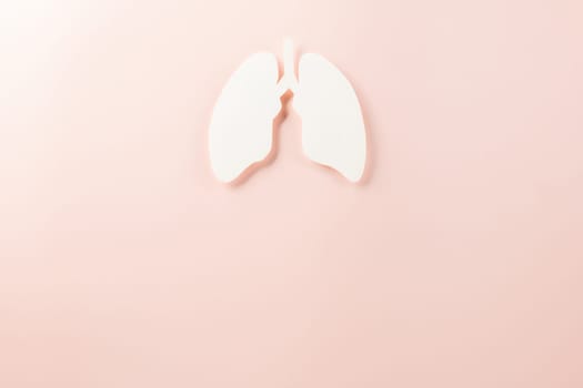 World tuberculosis day. Top view Lungs paper decorative symbol on pastel pink background, copy space, concept of world TB day, no tobacco, Medical and healthcare, lung cancer awareness, 24 March