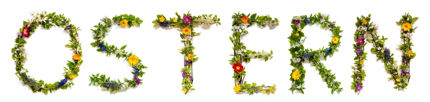 Blooming Flower Letters Building German Word Ostern Means Easter. Summer And Spring Season Blossoms And Flower Lei.