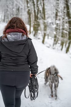 Young woman with brown curly hair walks her akita inu dog with gray fur in the forest during winter with lots of snow, rear view